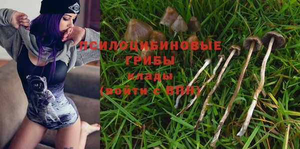 дурь Инта
