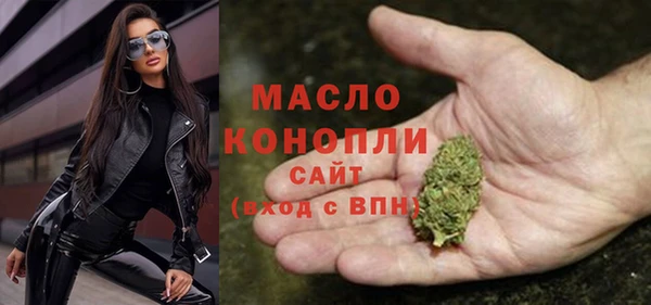 дурь Инта