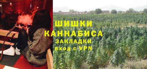 дурь Инта