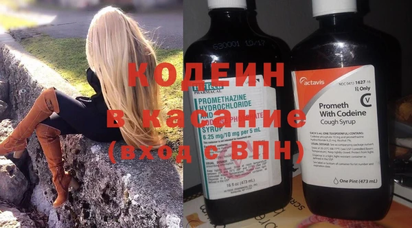 дурь Инта