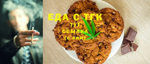 дурь Инта