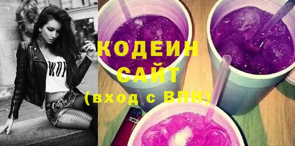 дурь Инта
