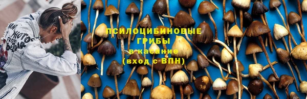 герыч Инсар