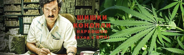 дурь Инта